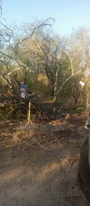 40,000 Per Acre in Malindi