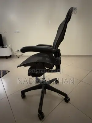 Herman Miller Aeron - Best Chair in the World