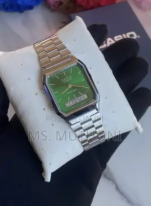 The Casio Vintage AQ-800