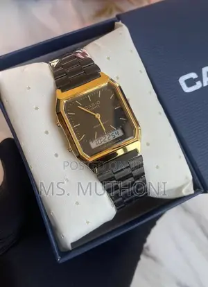 The Casio Vintage AQ-230 Series Analog-Digital Watch,
