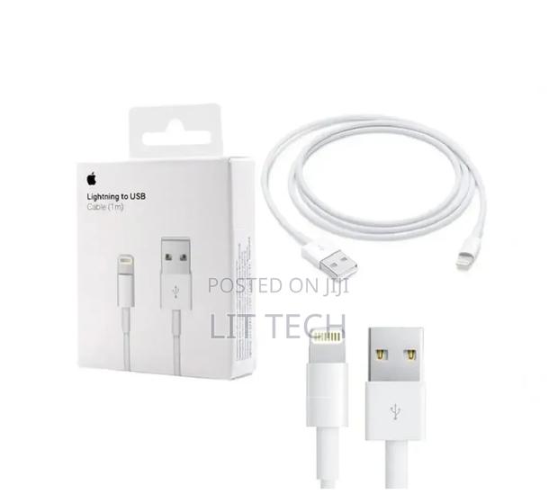 Lightning to USB Cable ( 1m)