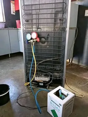 Fridge Repair
