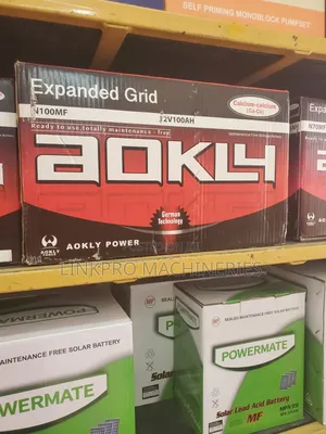 Aokly N100Ah Car Battery