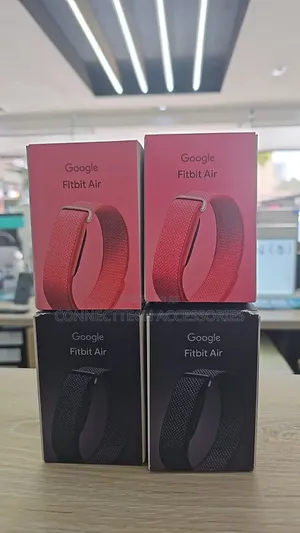 Google Fitbit Air