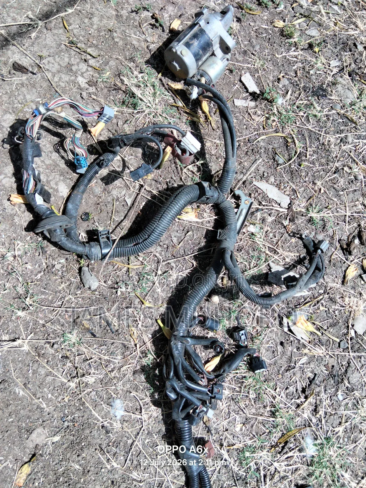 Toyota Passo Starter