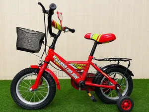 Lion King Kids Bicycle