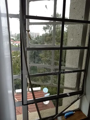 Magnetic Mosquitoe Screens