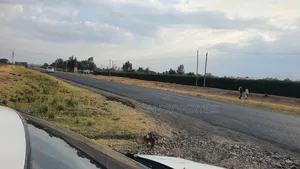 16 Acres on Tarmac Narumoru
