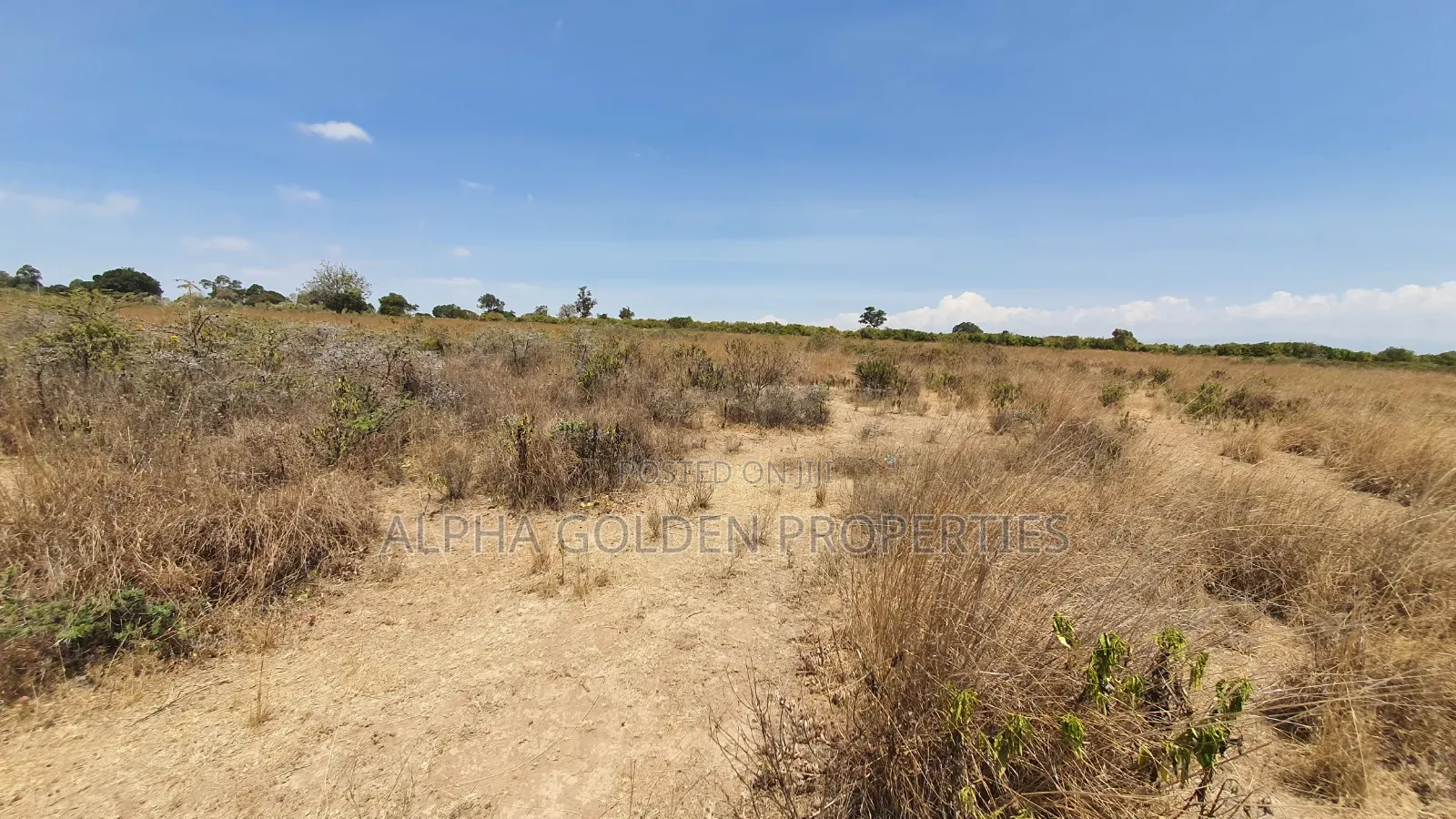 16 Acres on Tarmac Narumoru