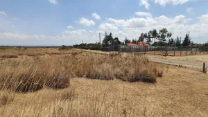 16 Acres on Tarmac Narumoru