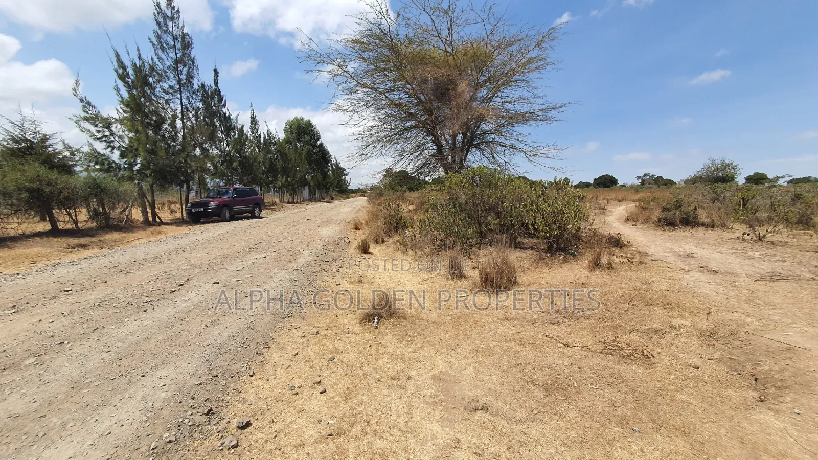 16 Acres on Tarmac Narumoru