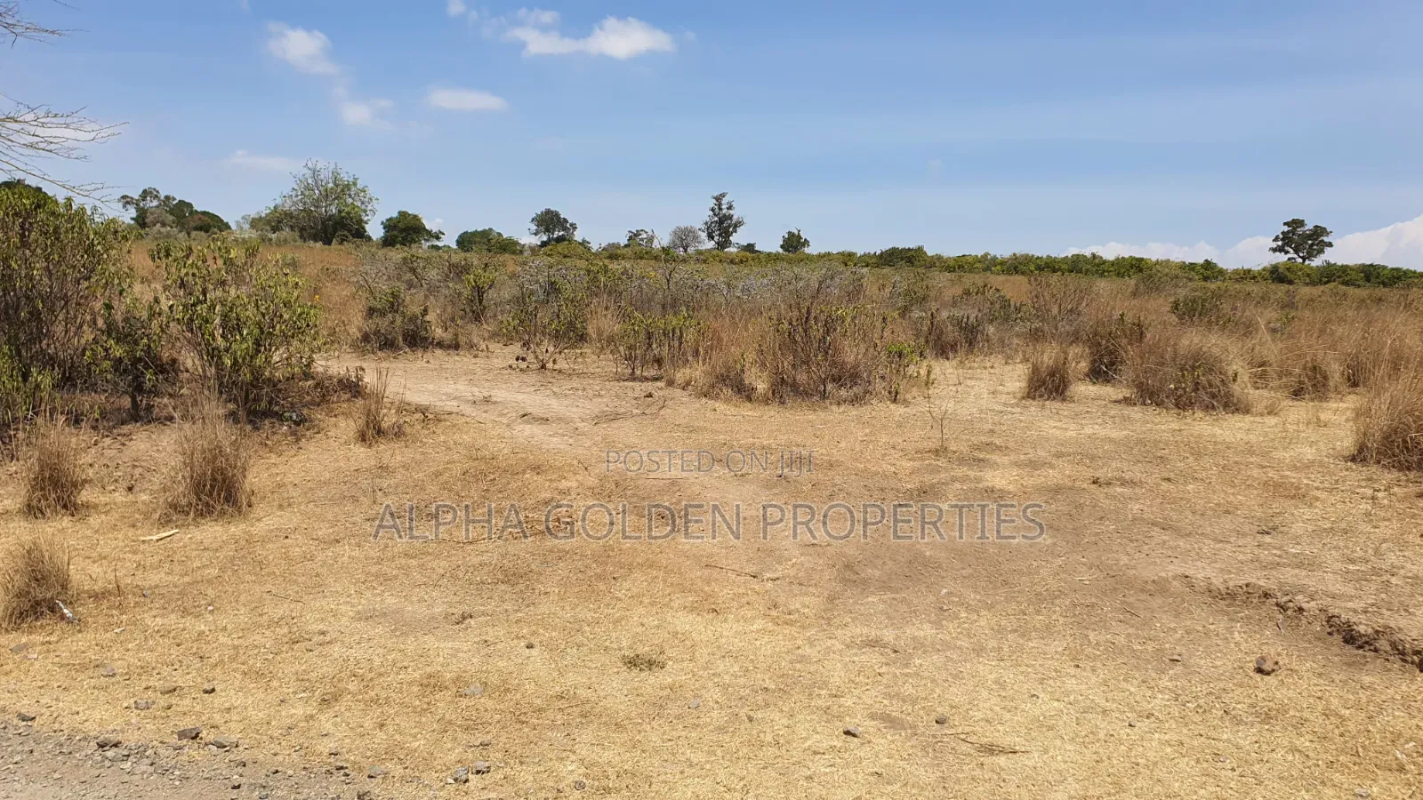 16 Acres on Tarmac Narumoru