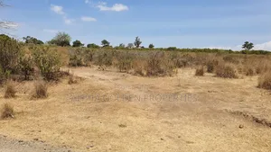 16 Acres on Tarmac Narumoru