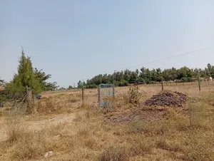 Empakasi Prime Plots - Ready to Develop