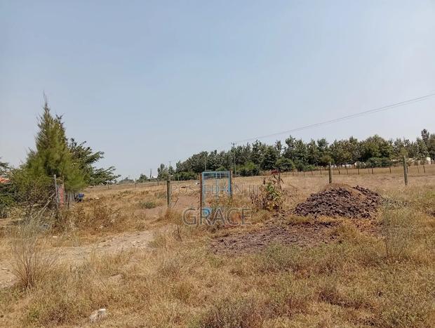 Empakasi Prime Plots - Ready to Develop - thumbnail 2