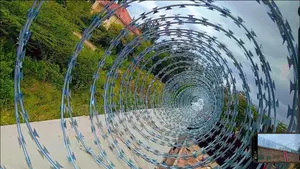 Double Galvanized Silver Wire 10meters