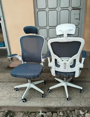 Executive Mesh Chair With Lumbar Support Headrest