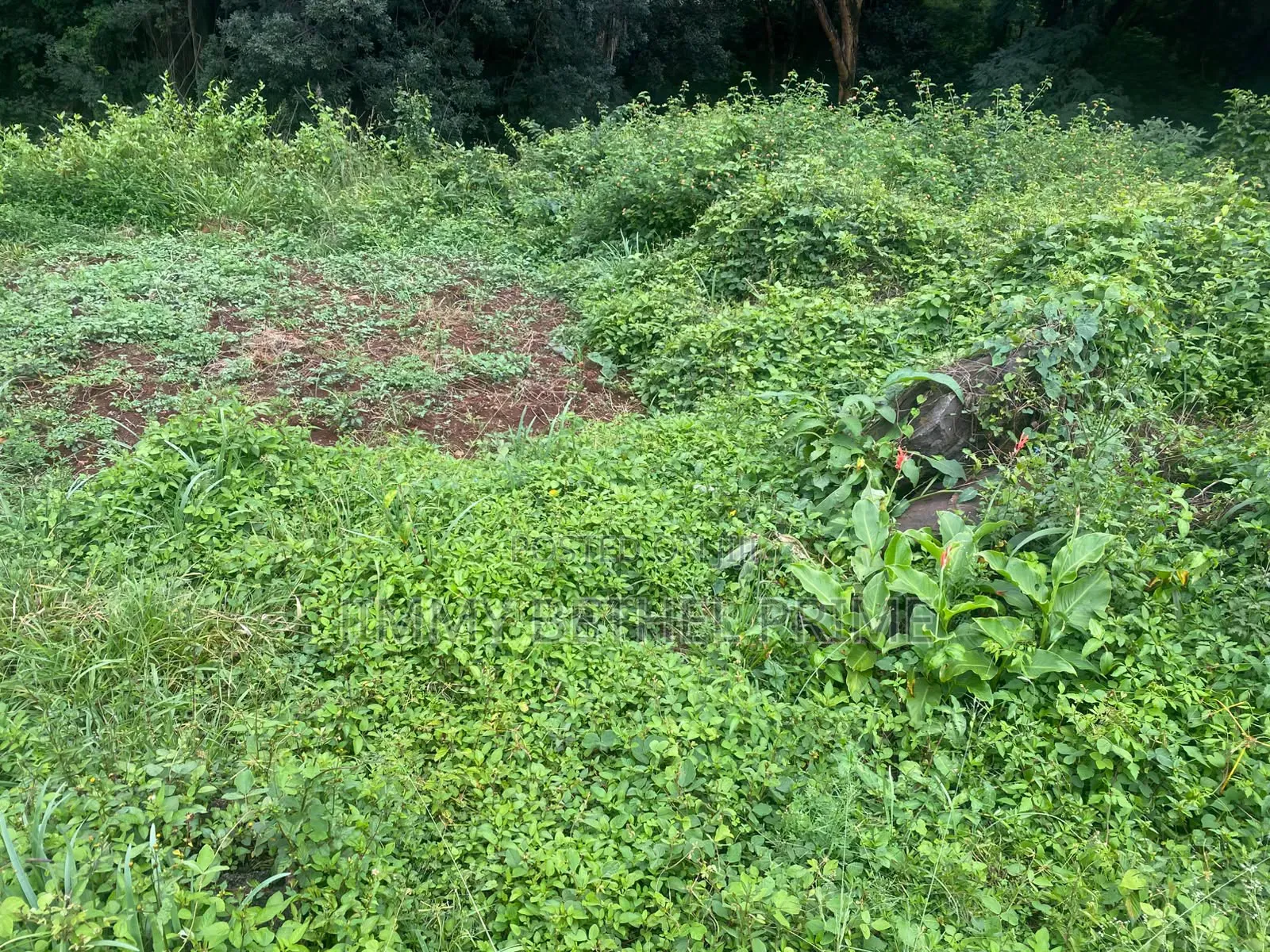 Prime 1 Acre for Sale