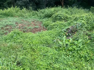 Prime 1 Acre for Sale