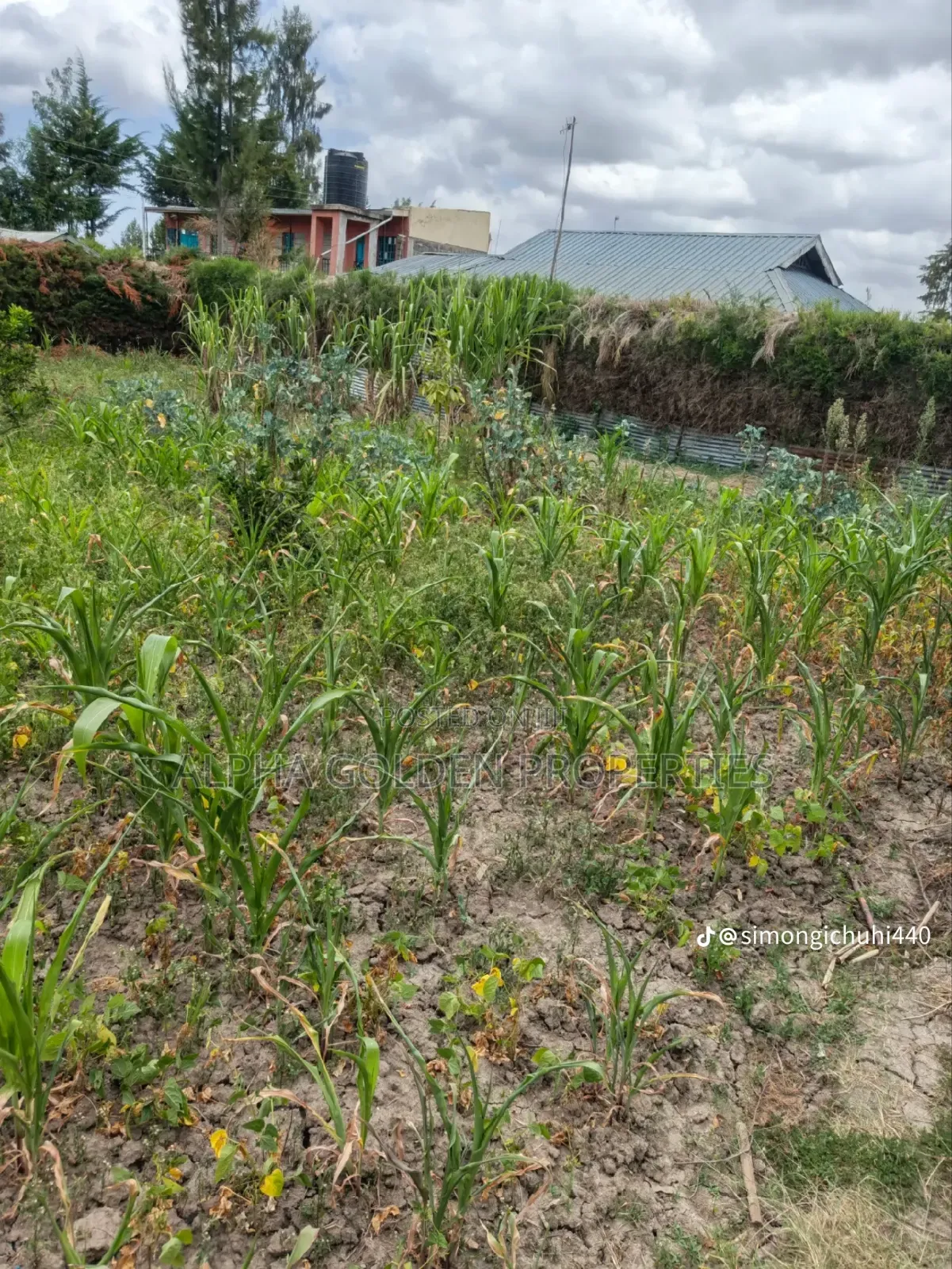 1/4 Plot in Nanyuki