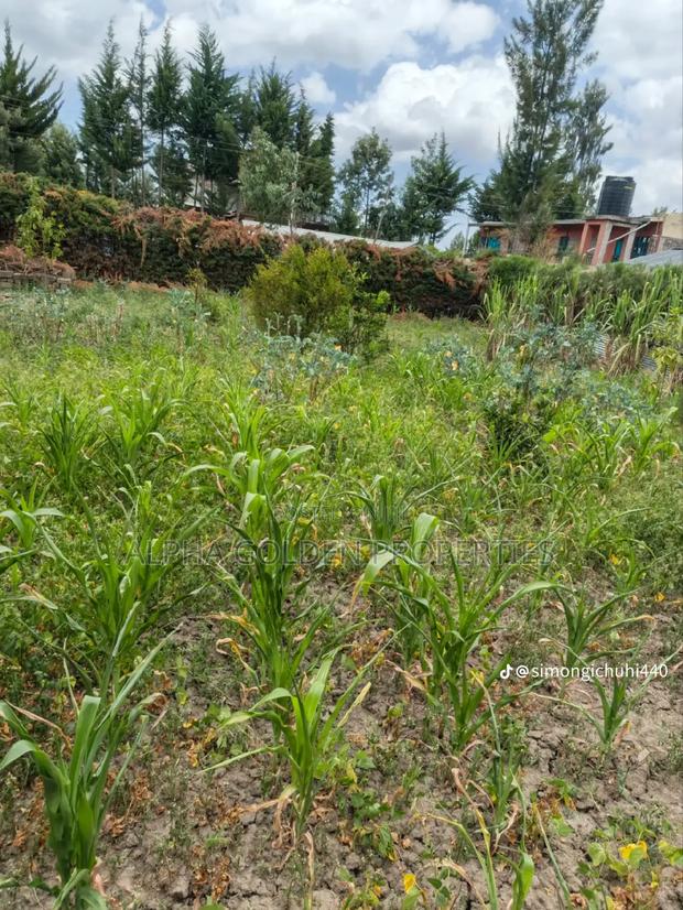 1/4 Plot in Nanyuki - thumbnail 4