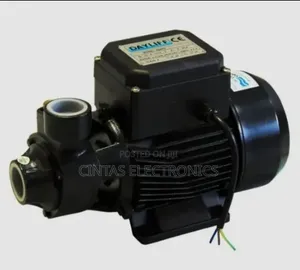 Dayliff DDP 60 Electric Booster Water Pump