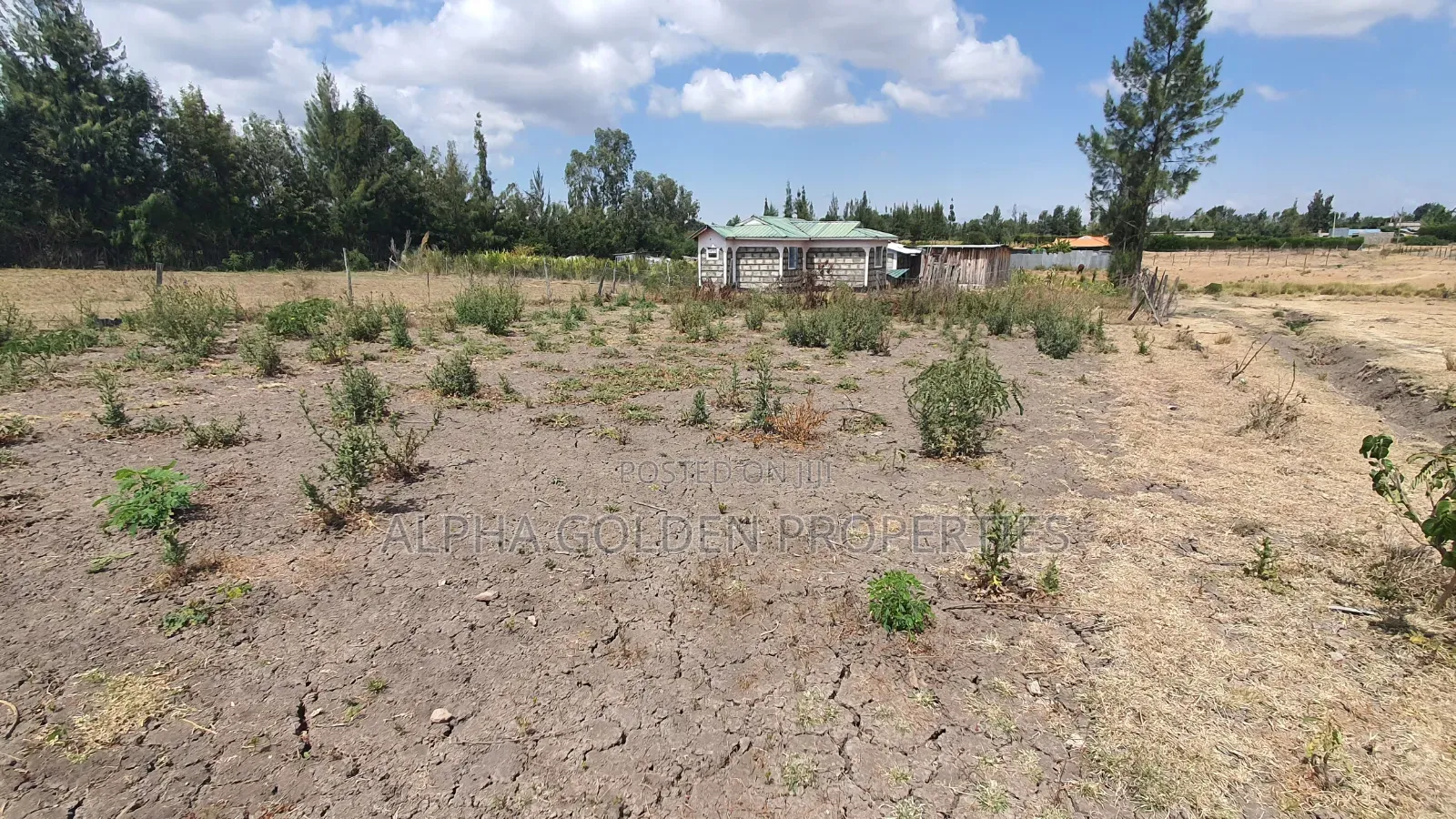 Plot for Sale in Runda Nanyuki