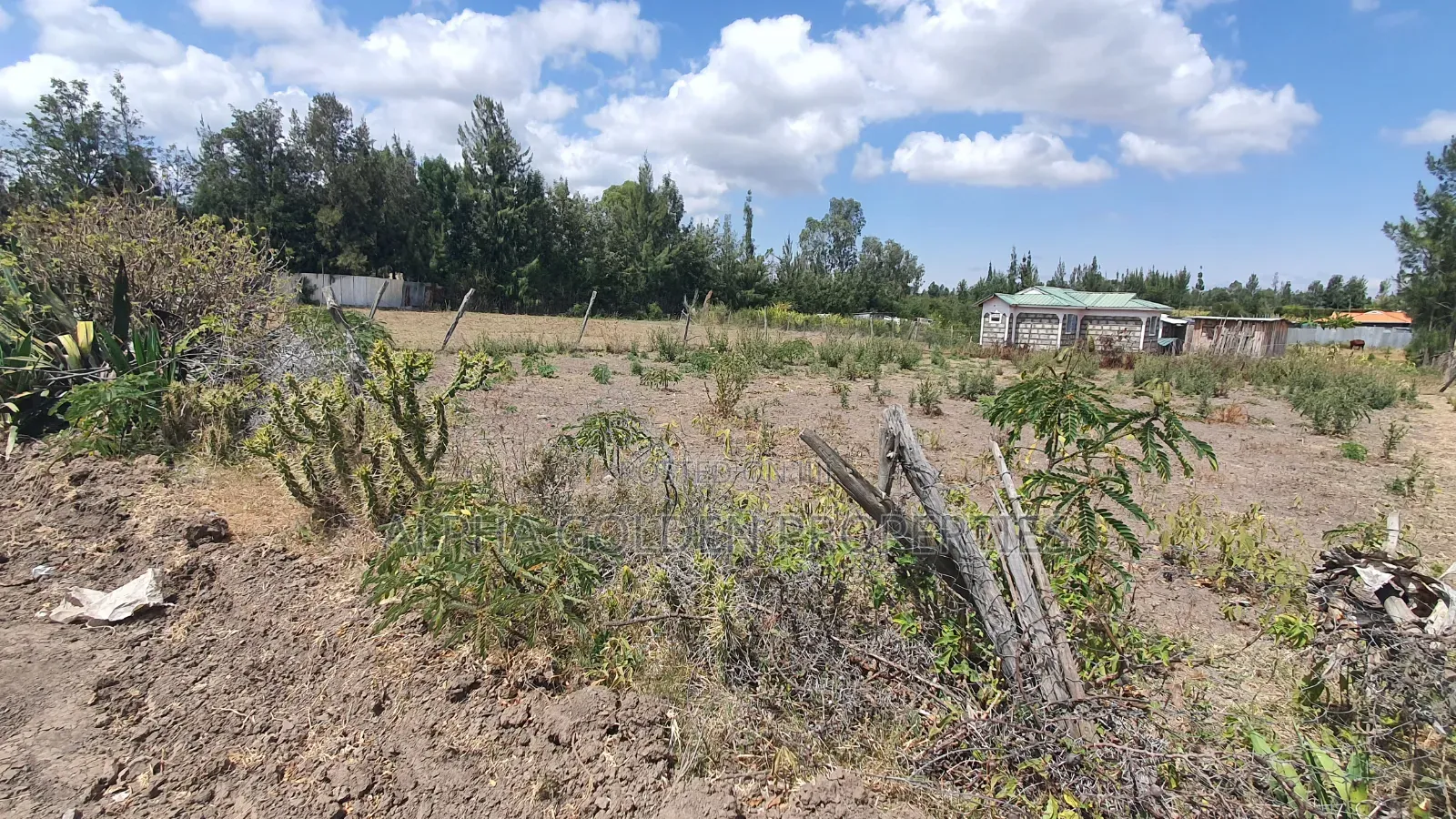 Plot for Sale in Runda Nanyuki