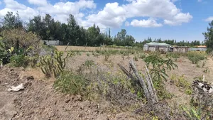 Plot for Sale in Runda Nanyuki