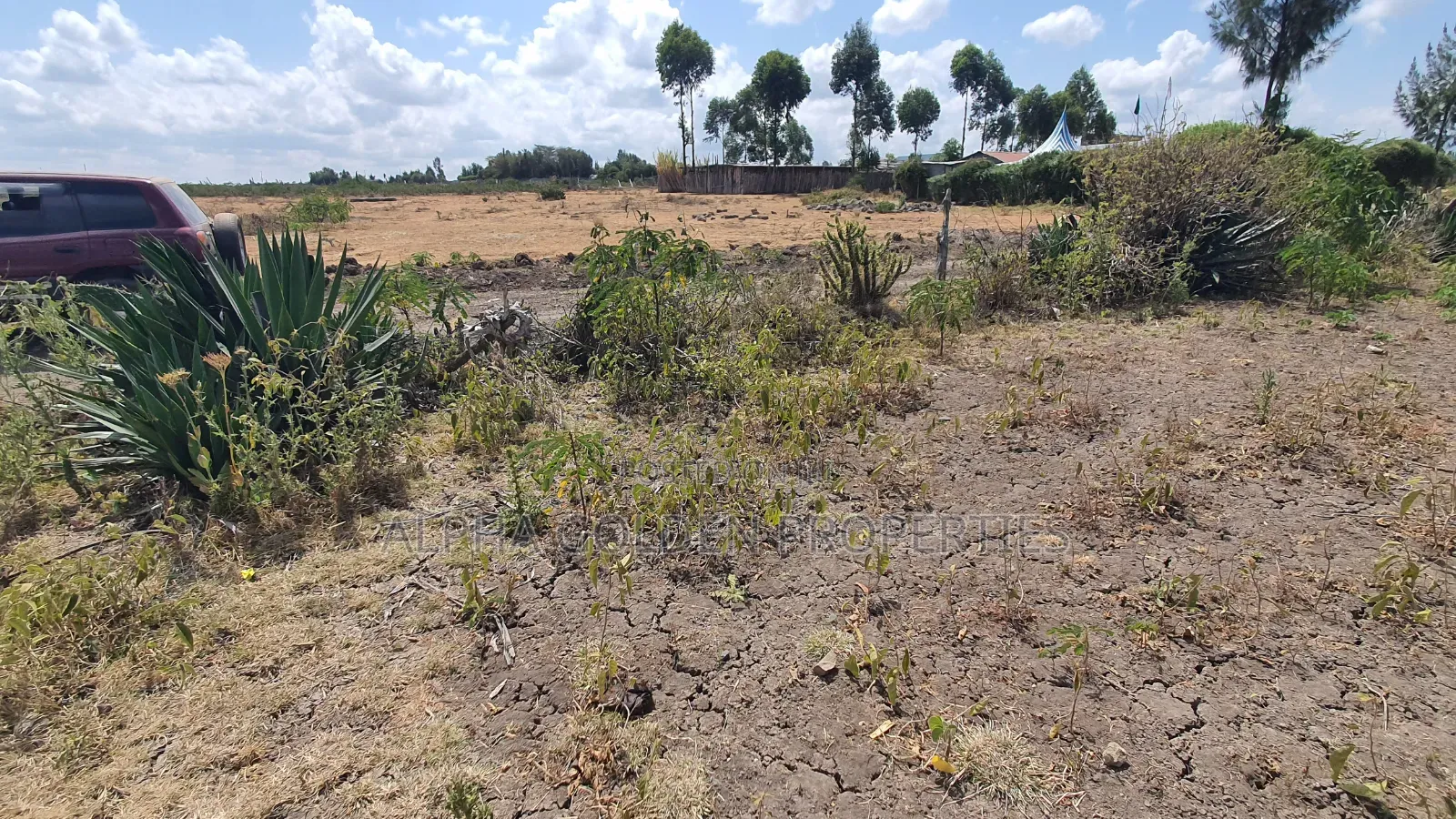 Plot for Sale in Runda Nanyuki