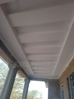Decorated Ceilings