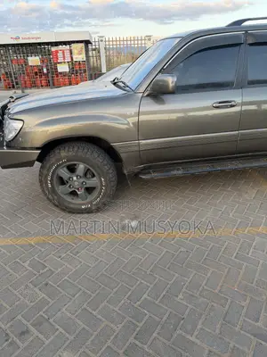 Toyota Land Cruiser 2010 Gray
