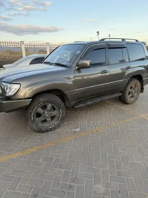 Toyota Land Cruiser 2010 Gray