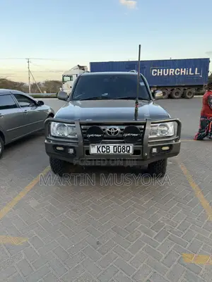 Toyota Land Cruiser 2010 Gray