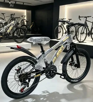 Babel Mountain Bike – 21 Speed, Size 20