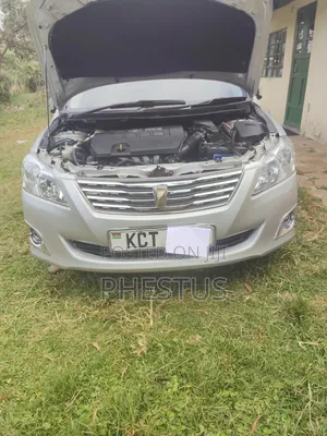 Toyota Premio 2013 Silver