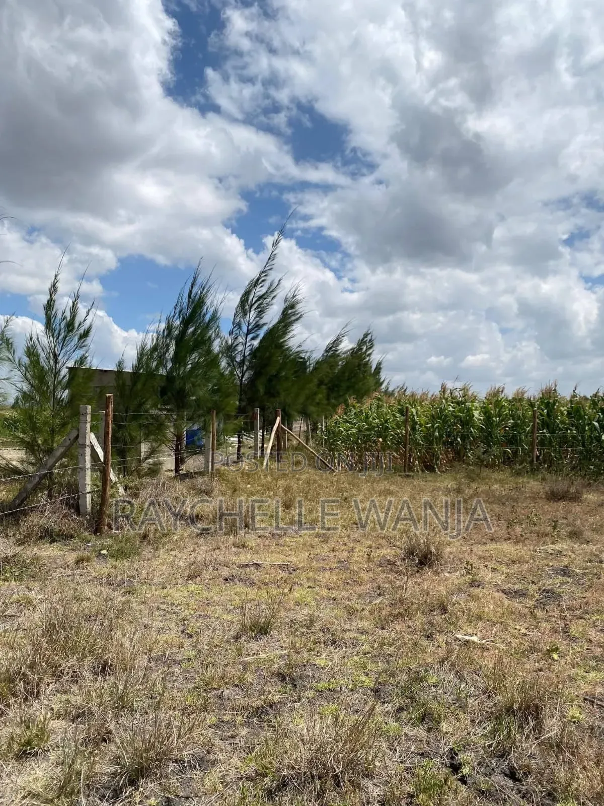 Koma-Kagundo Rd Affordable Plots