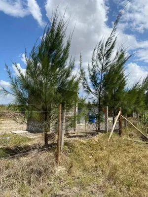 Koma-Kagundo Rd Affordable Plots