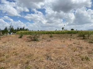 Koma-Kagundo Rd Affordable Plots