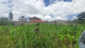 1/4 Plot Opposite Total Energies [ Nanyuki ]