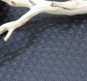 Scratch Resistant Coin Carpet