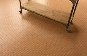 PVC Coin Floor Mat