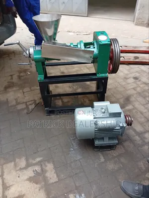 Electric Oil Pressing Machine