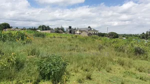 1/2 Acre on Sale Near Highway