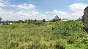 1/2 Acre on Sale Near Highway