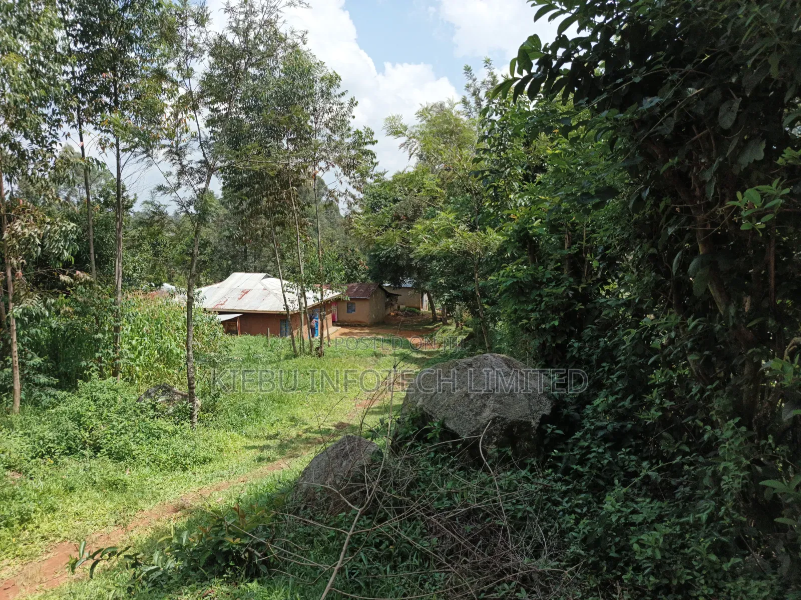 Half an Acre for Sale