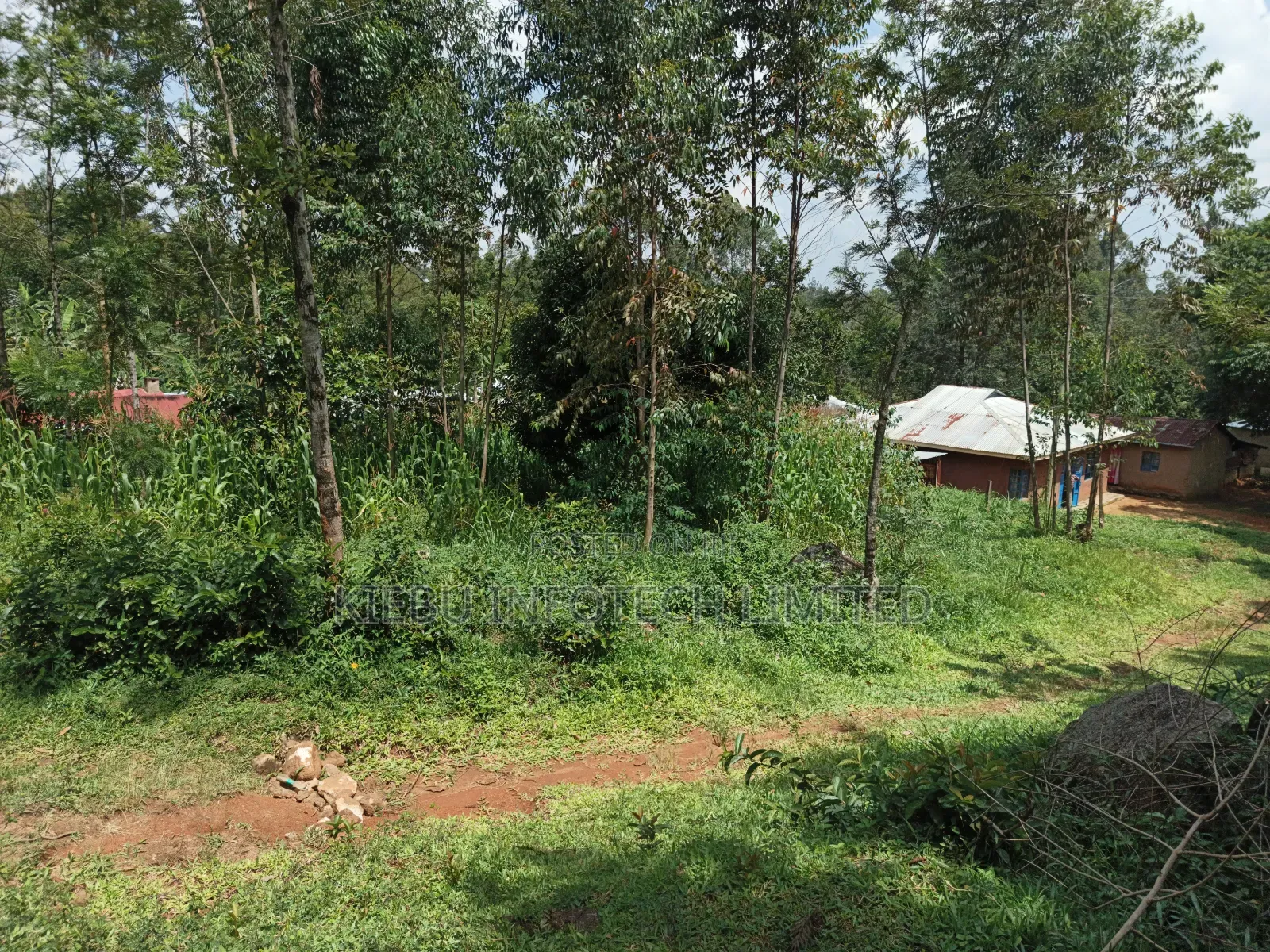Half an Acre for Sale