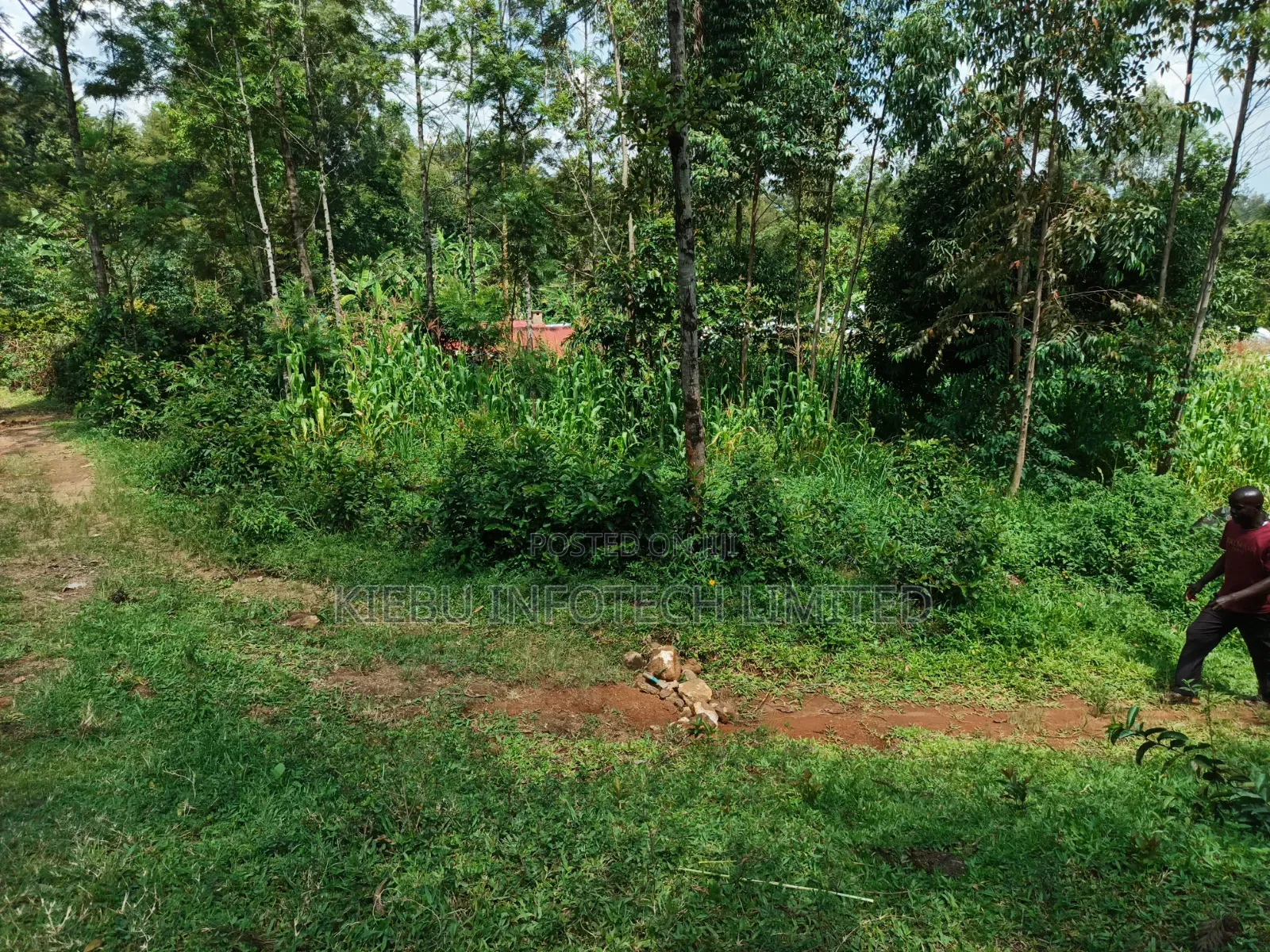 Half an Acre for Sale