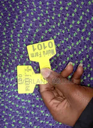 Customized Sheep Ear Tags - Resistant Material