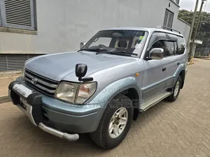 Toyota Land Cruiser Prado 1995 Gray